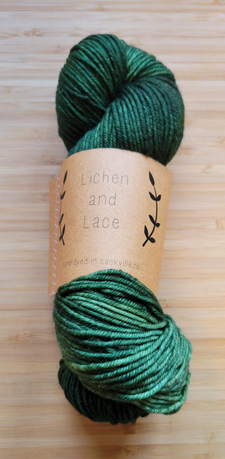 Lichen and Lace Superwash Merino Worsted