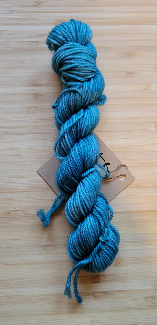 Lichen and Lace 80/20 Sock Mini