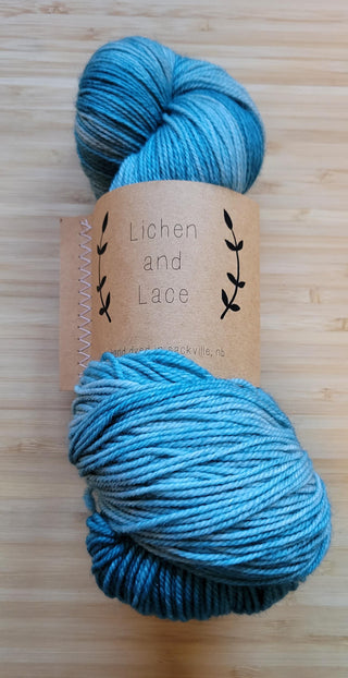 Chaussette Lichen et Dentelle 80/20