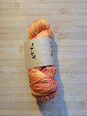 Laine peignée mérinos superwash Lichen and Lace