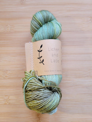 Lichen and Lace 80/20 Sock